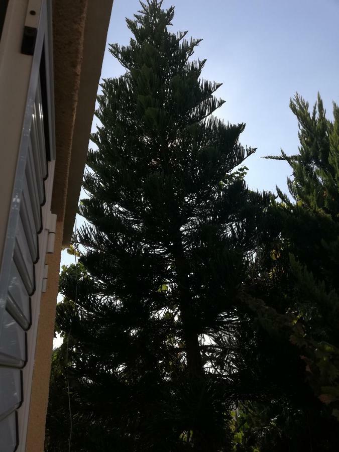 Chriselina Gottage Apartment Paphos Exterior foto