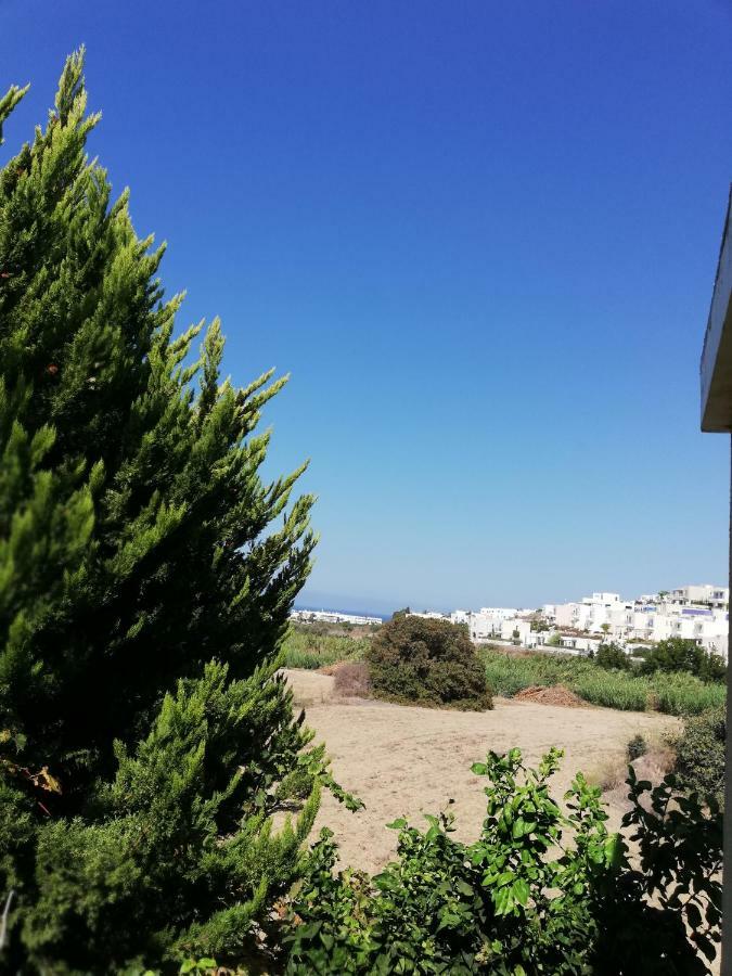 Chriselina Gottage Apartment Paphos Exterior foto