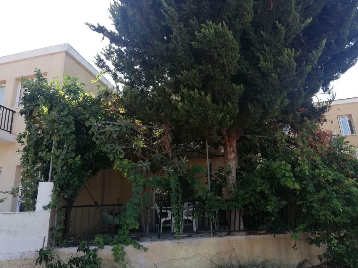 Chriselina Gottage Apartment Paphos Exterior foto