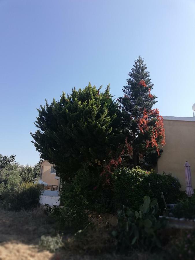 Chriselina Gottage Apartment Paphos Exterior foto