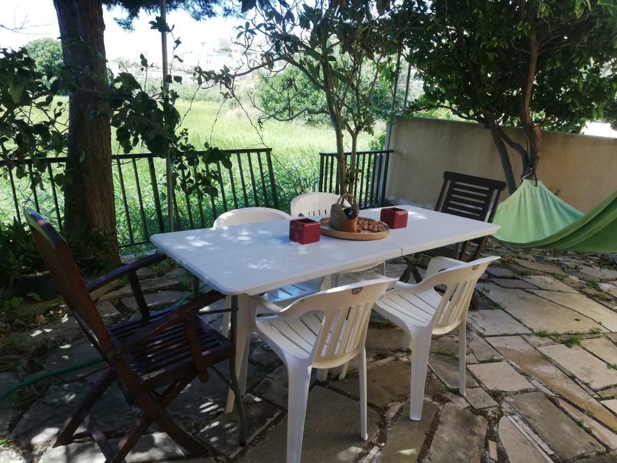 Chriselina Gottage Apartment Paphos Exterior foto