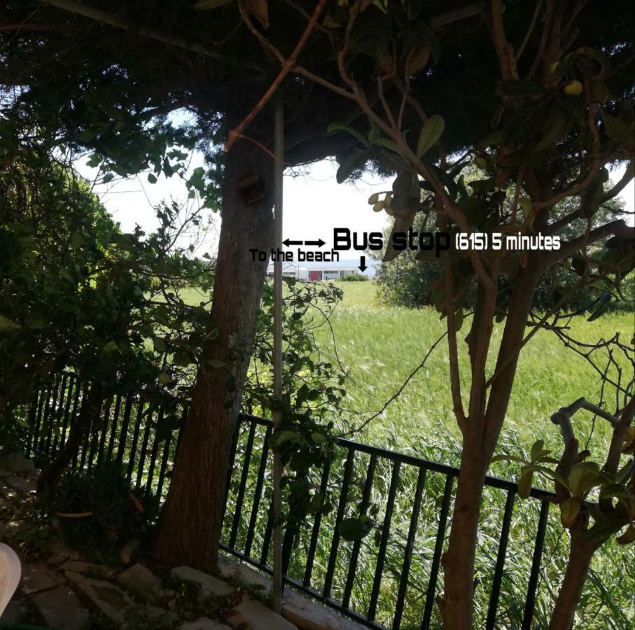 Chriselina Gottage Apartment Paphos Exterior foto